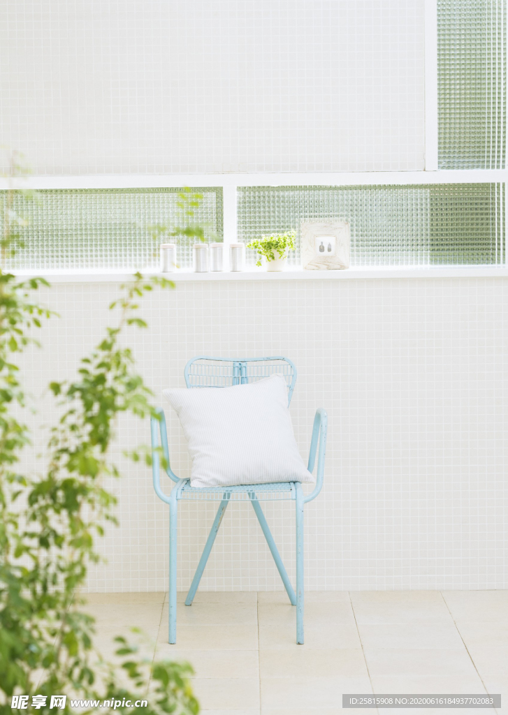 盆栽盆景瓶栽室内外花草图片