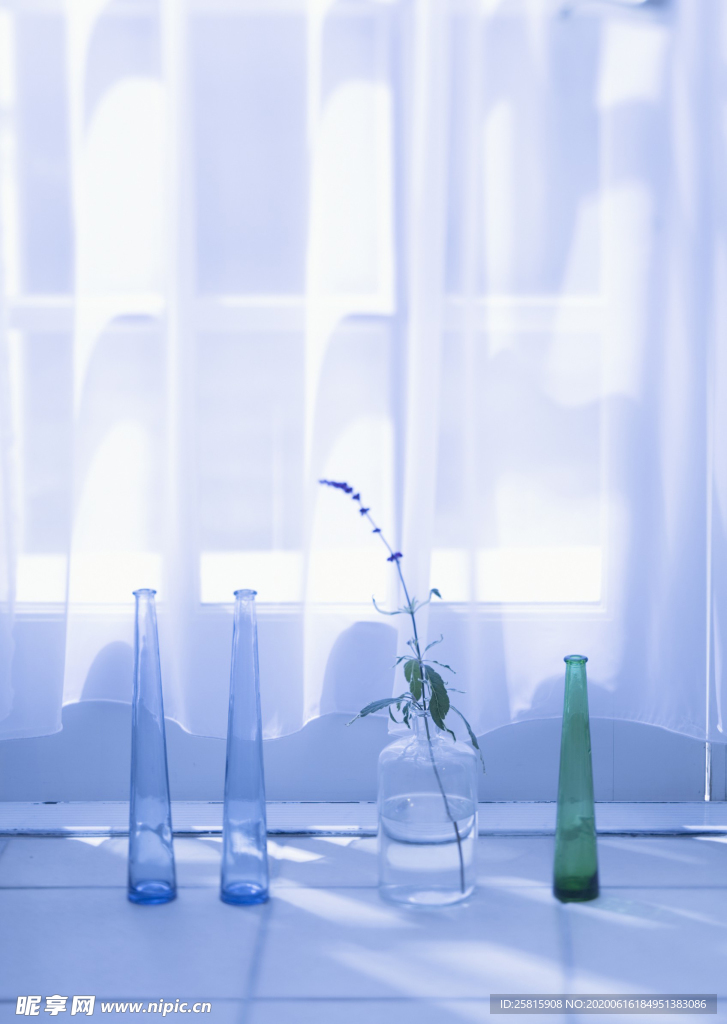 盆栽盆景瓶栽室内外花草图片