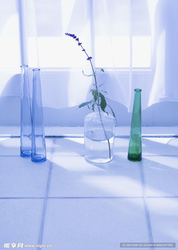 盆栽盆景瓶栽室内外花草图片