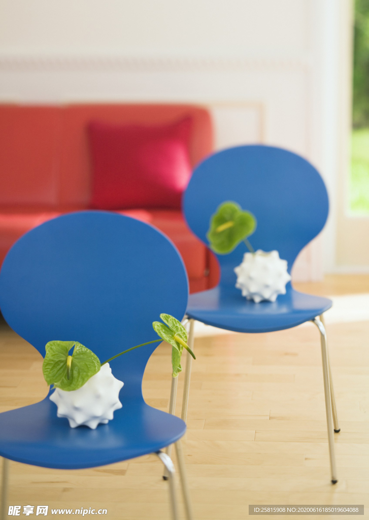 盆栽盆景瓶栽室内外花草图片