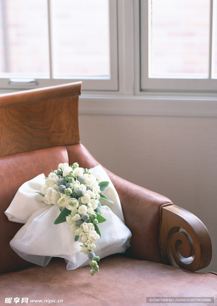 盆栽盆景瓶栽室内外花草图片