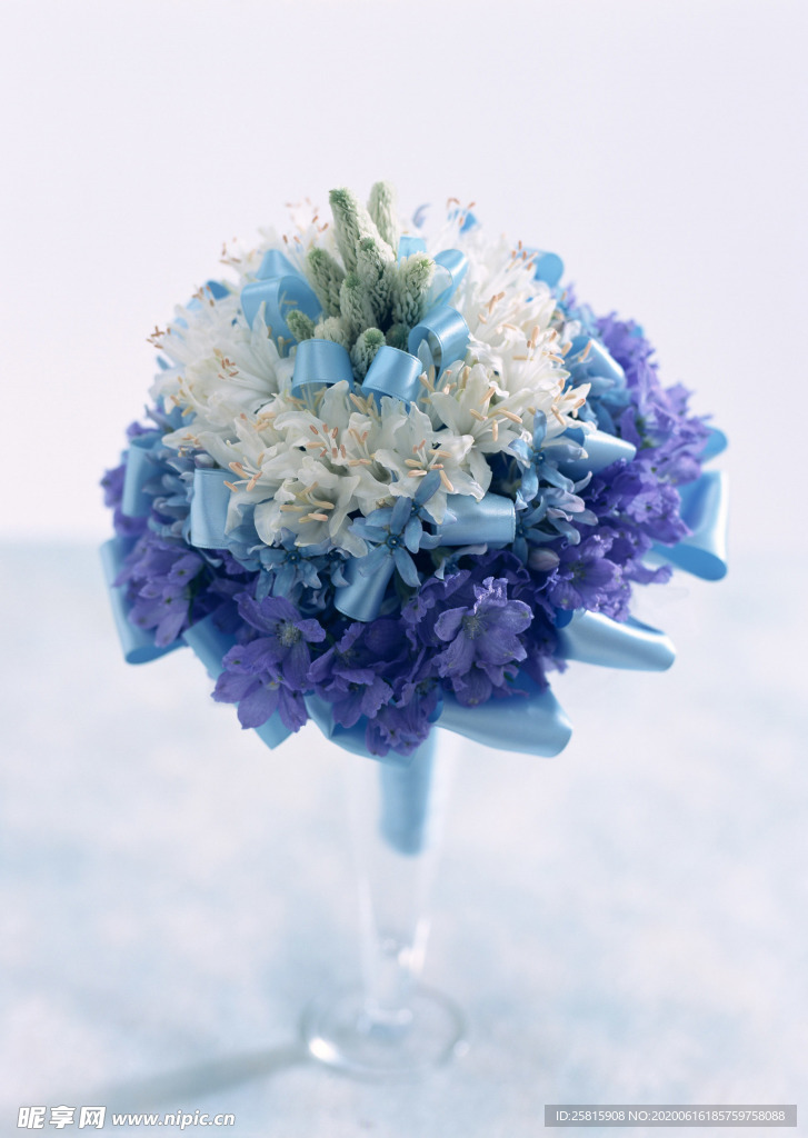 盆栽盆景瓶栽室内外花草图片