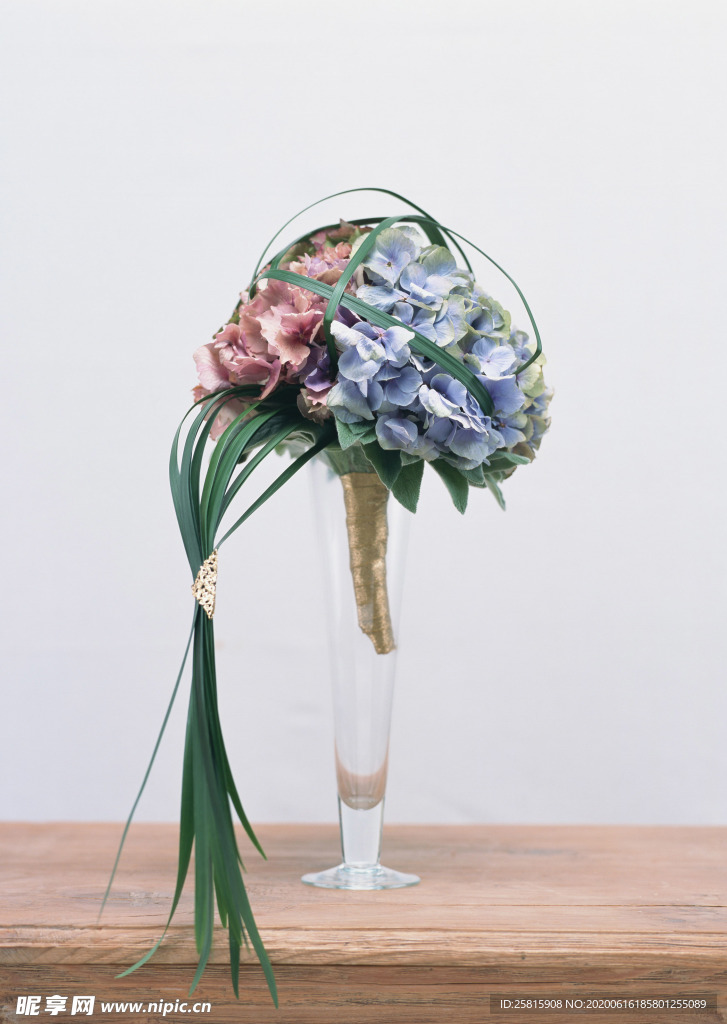 盆栽盆景瓶栽室内外花草图片