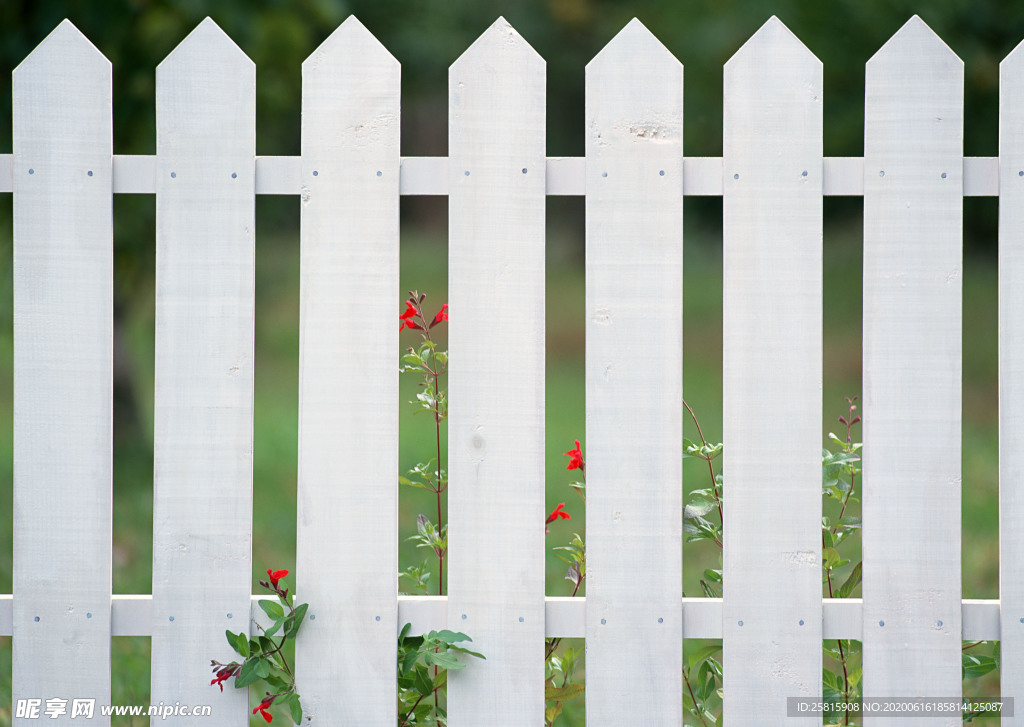 花艺园艺花草图片