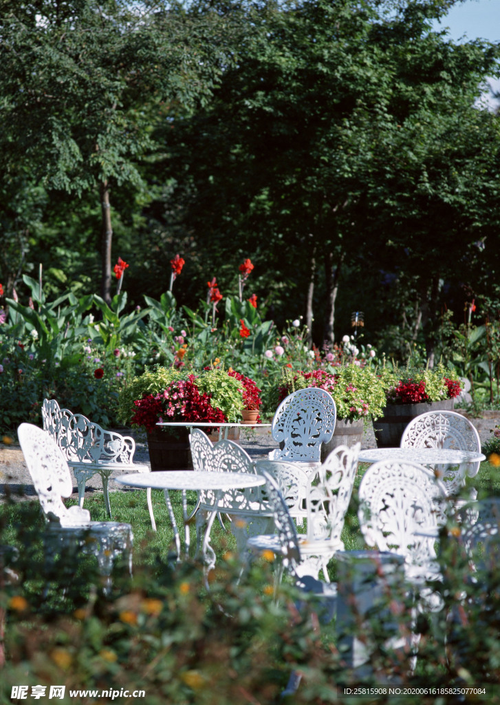 花艺园艺花草图片