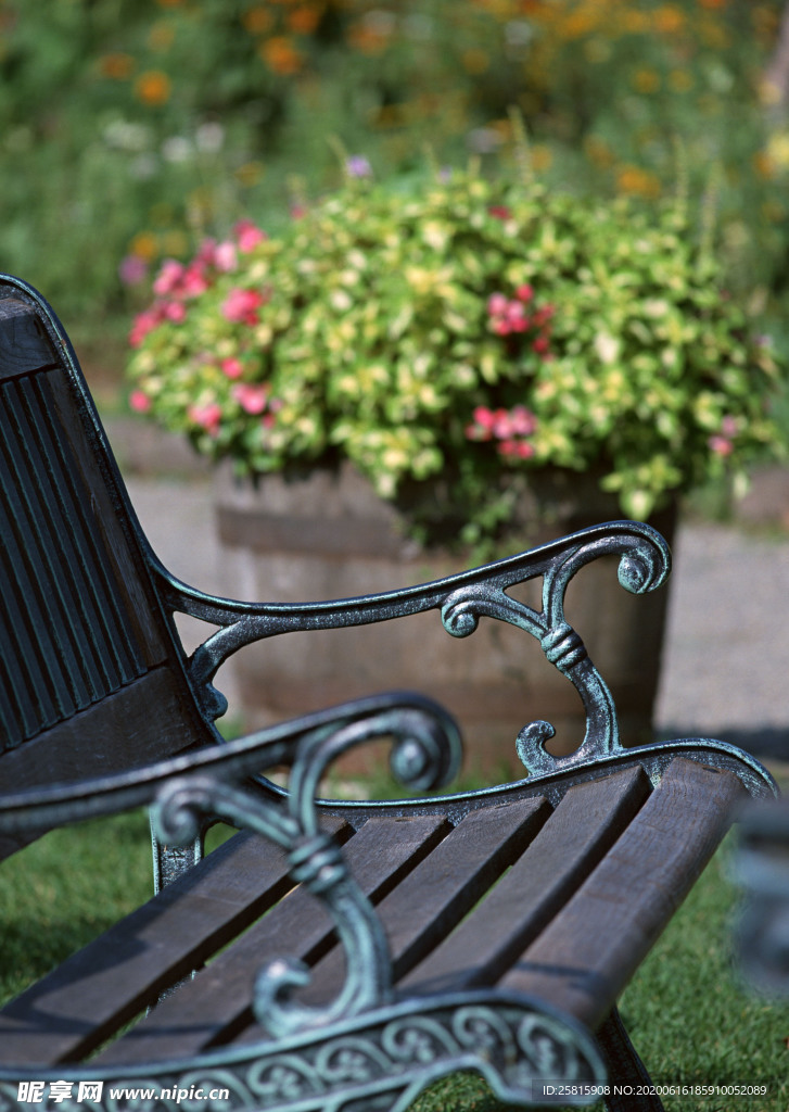 盆栽盆景瓶栽室内花草图片