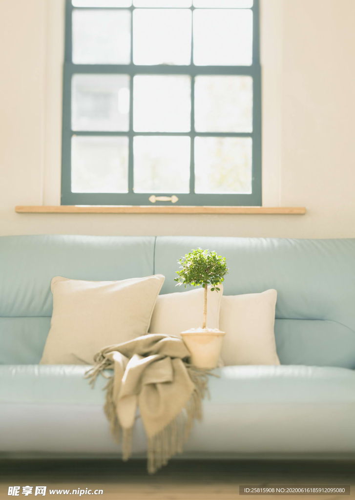 盆栽盆景瓶栽室内花草图片