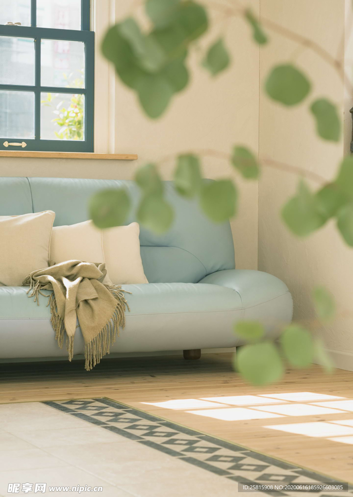 盆栽盆景瓶栽室内花草图片