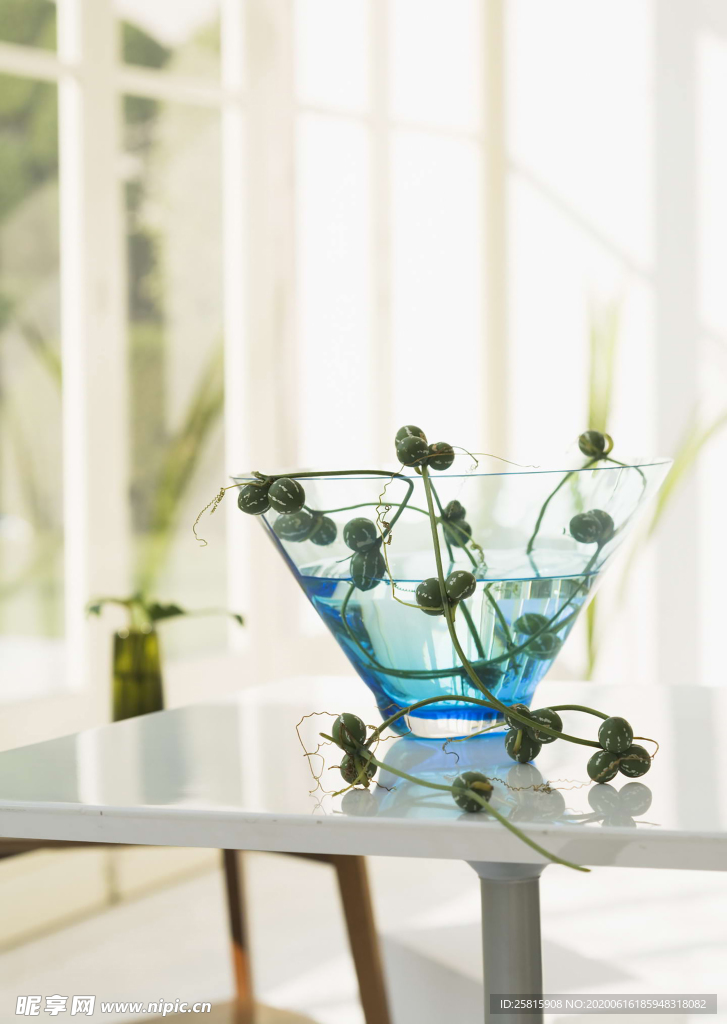 盆栽盆景瓶栽室内花草图片