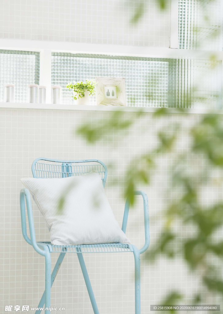 盆栽盆景瓶栽室内花草图片