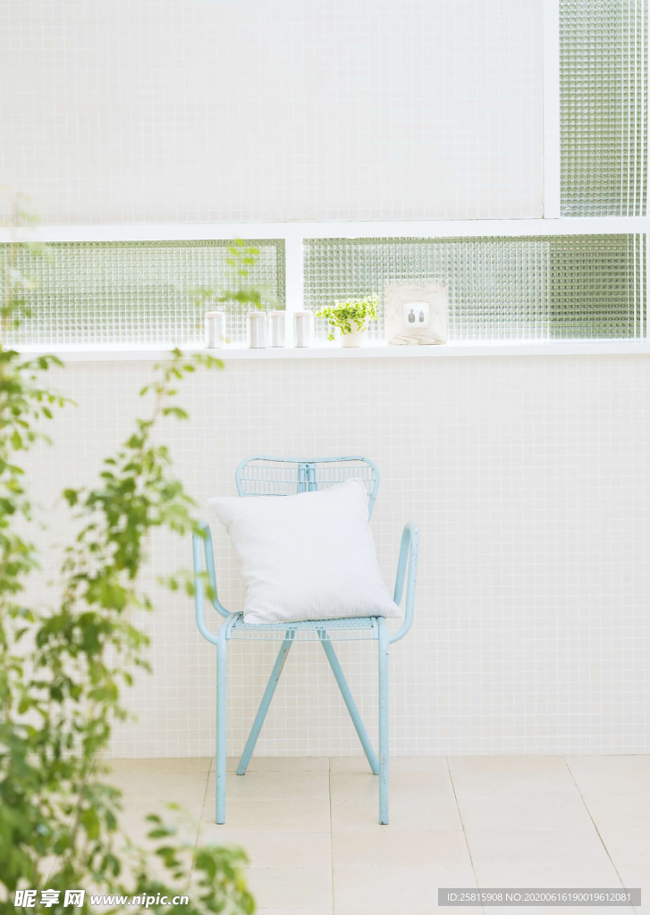 盆栽盆景瓶栽室内花草图片