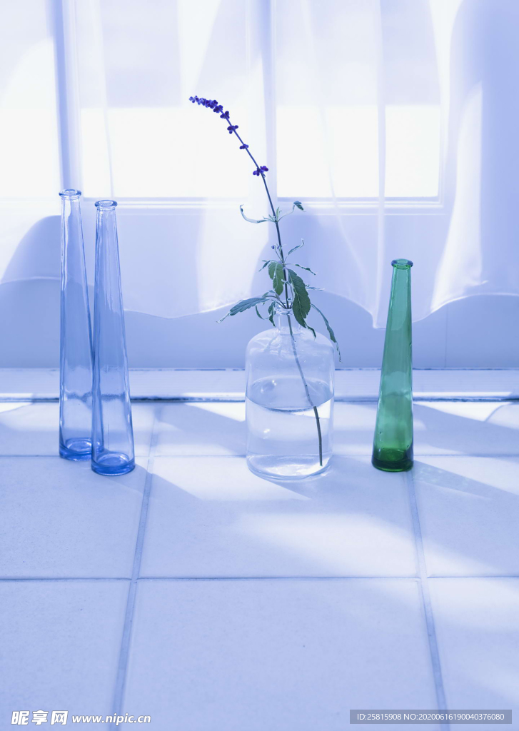 盆栽盆景瓶栽室内花草图片