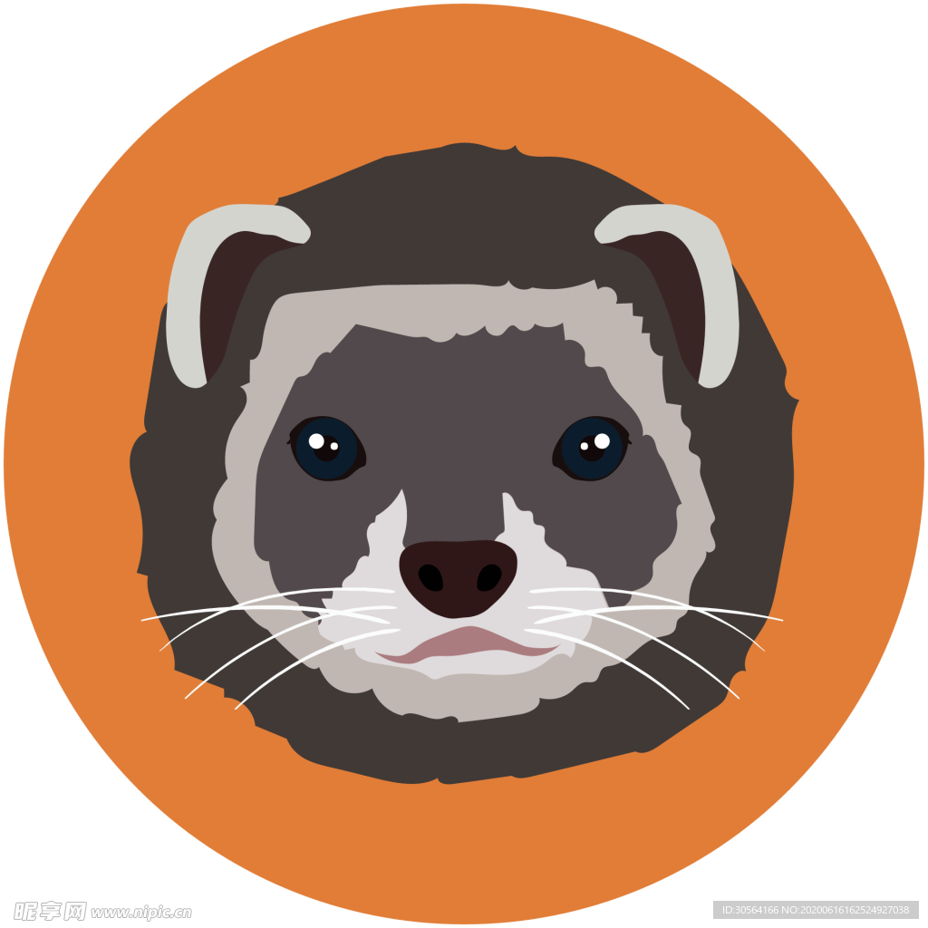 浣熊动物图标标志图形装饰素材