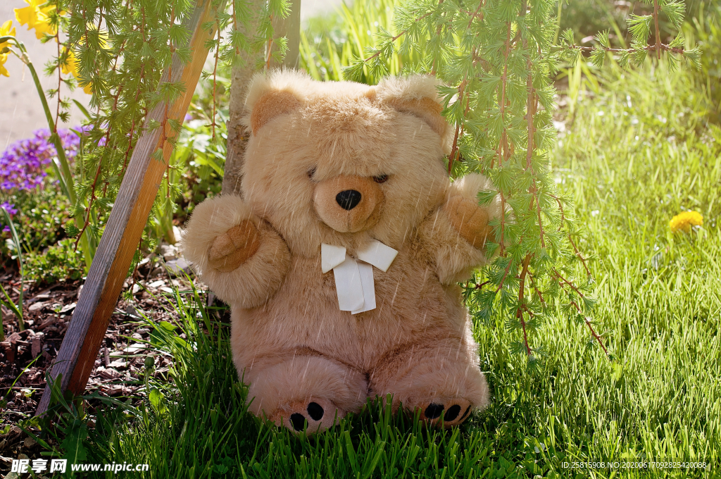 玩具熊泰迪熊毛绒玩具图片