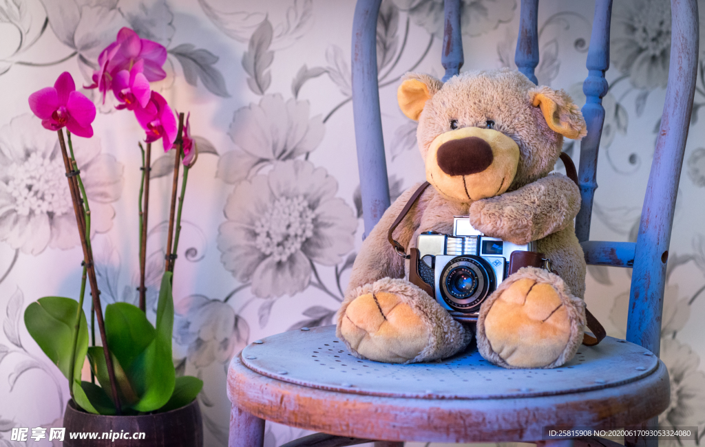 玩具熊泰迪熊毛绒玩具图片