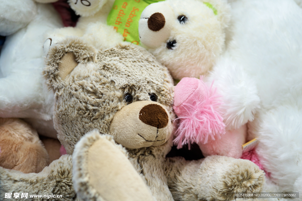 玩具熊泰迪熊毛绒玩具图片