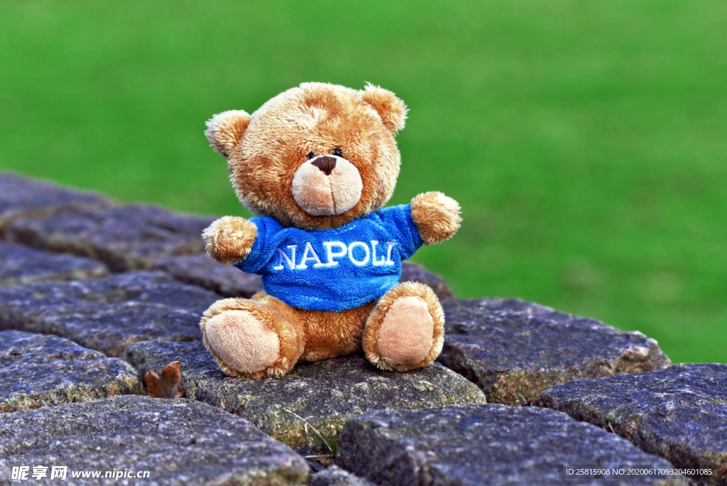 玩具熊泰迪熊毛绒玩具图片