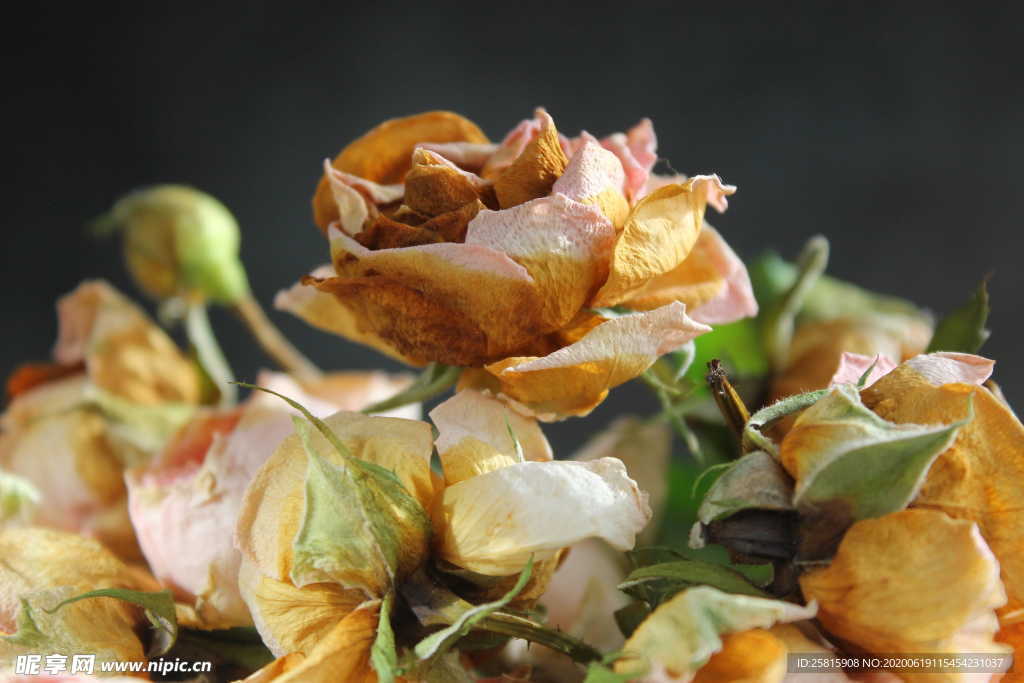 干花捧花瓶花插花图片