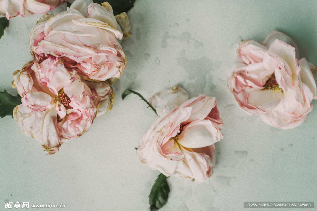 干花捧花瓶花插花图片