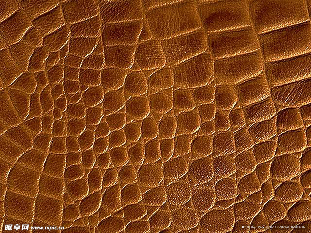 皮纹 皮革高清素材