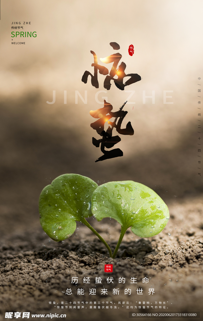 惊蛰古风传统复古夏季国风海报