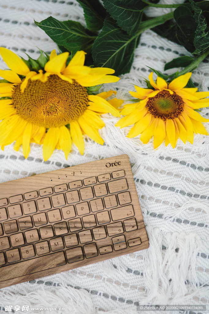 键盘电脑键盘图片