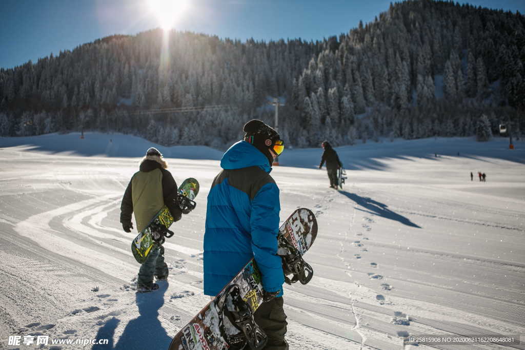 滑雪运动滑雪板图片