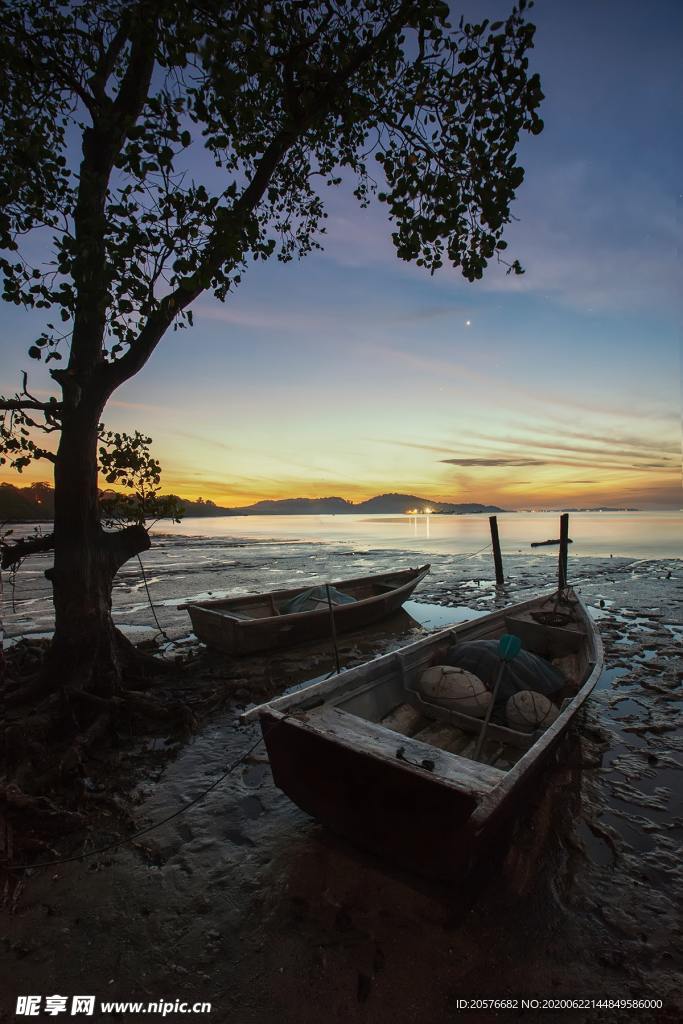 海边棕树旁的小船