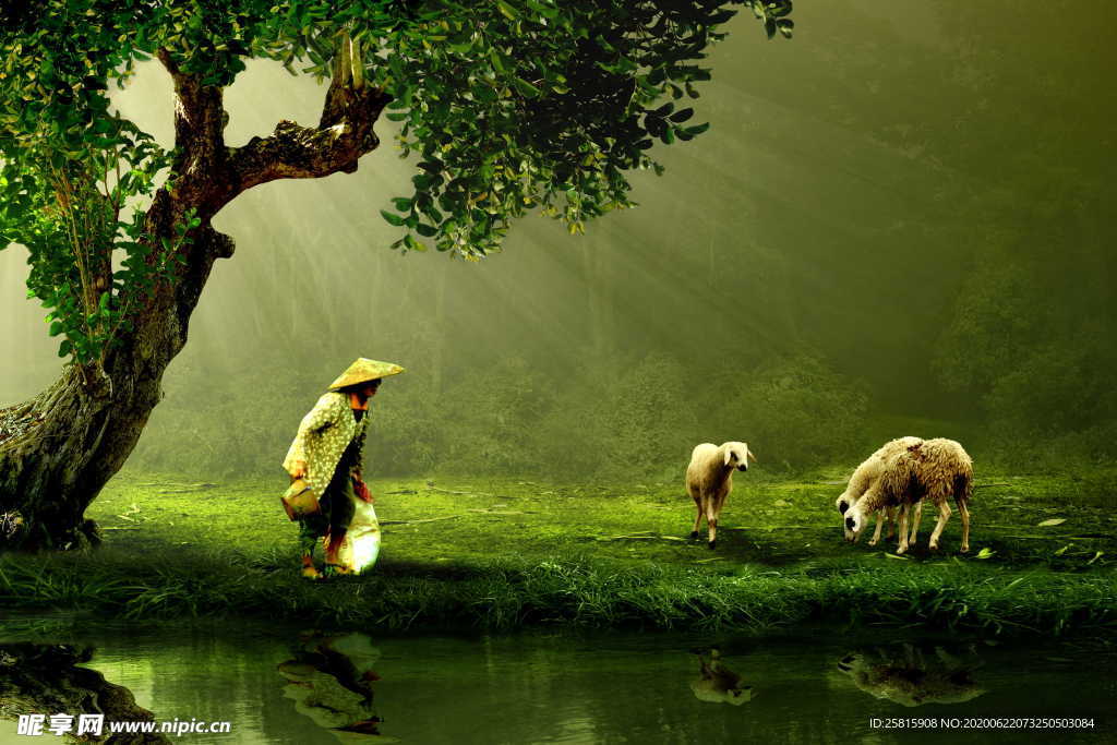 羊群绵羊养殖散养图片