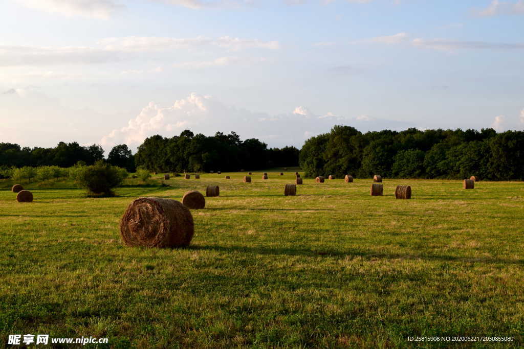 草垛麦草垛稻草垛图片