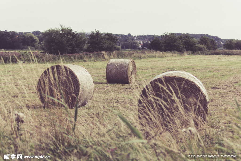 草垛麦草垛稻草垛图片