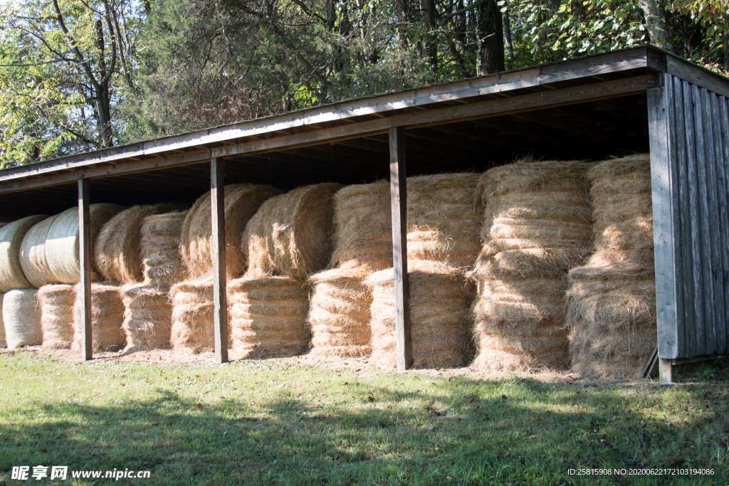 草垛麦草垛稻草垛图片