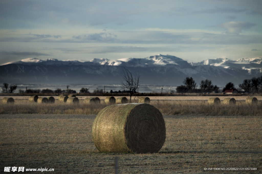 草垛麦草垛稻草垛图片