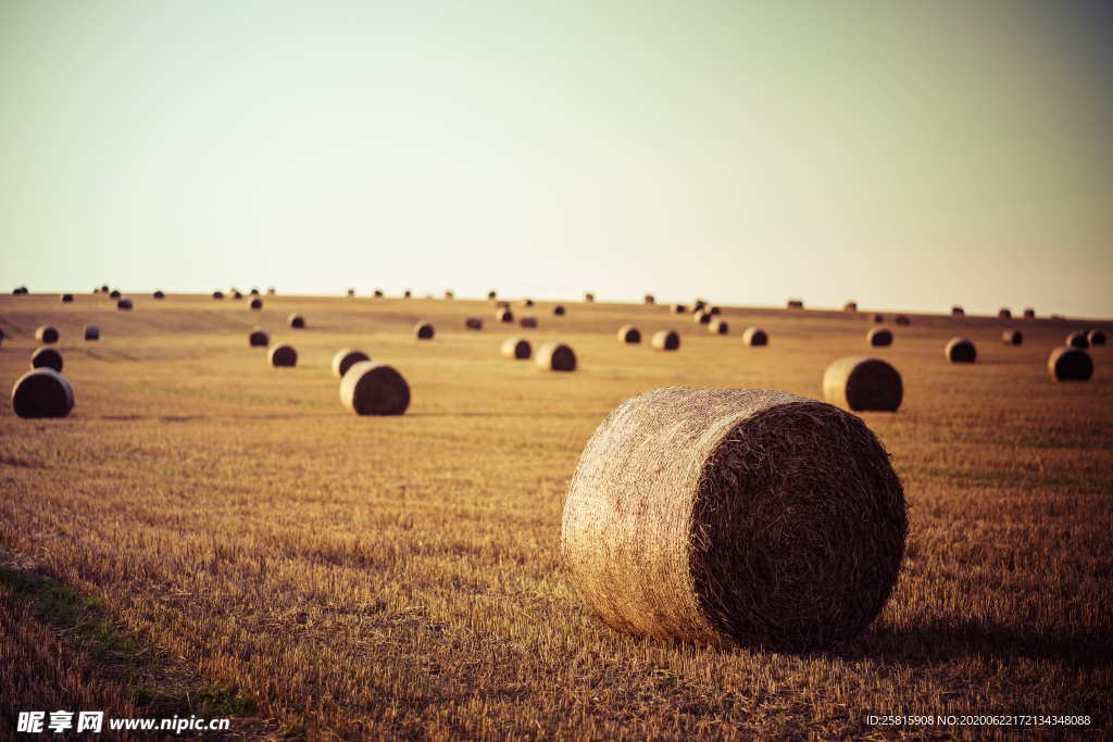 草垛麦草垛稻草垛图片