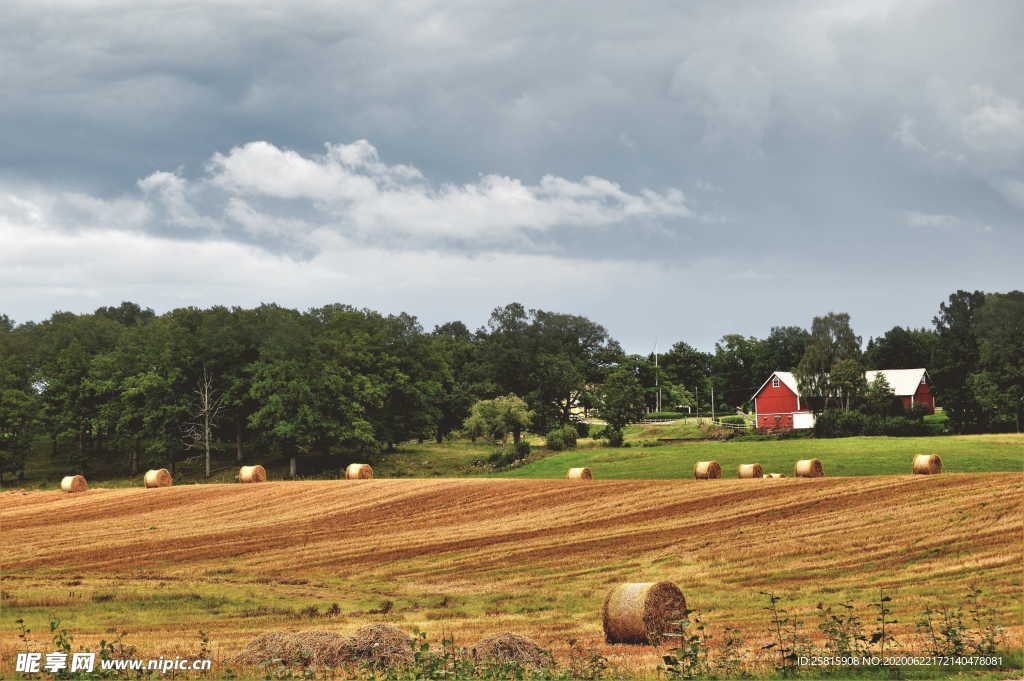 草垛麦草垛稻草垛图片