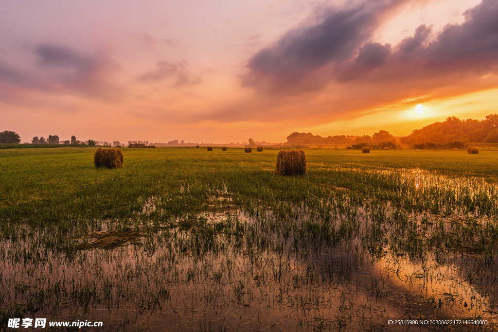 草垛麦草垛稻草垛图片