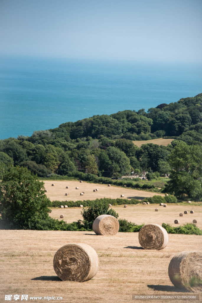 草垛麦草垛稻草垛图片