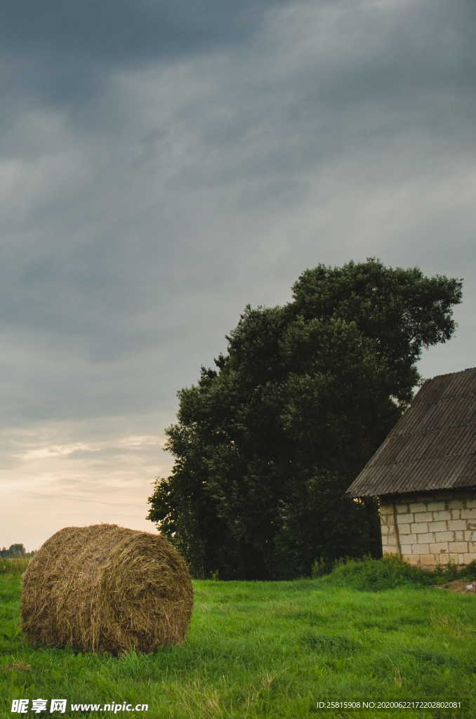 草垛麦草垛稻草垛图片