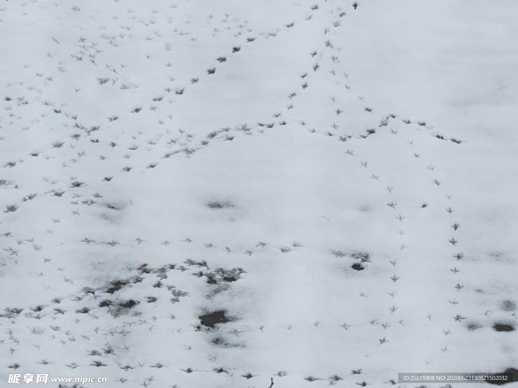 脚印鞋印足迹痕迹图片