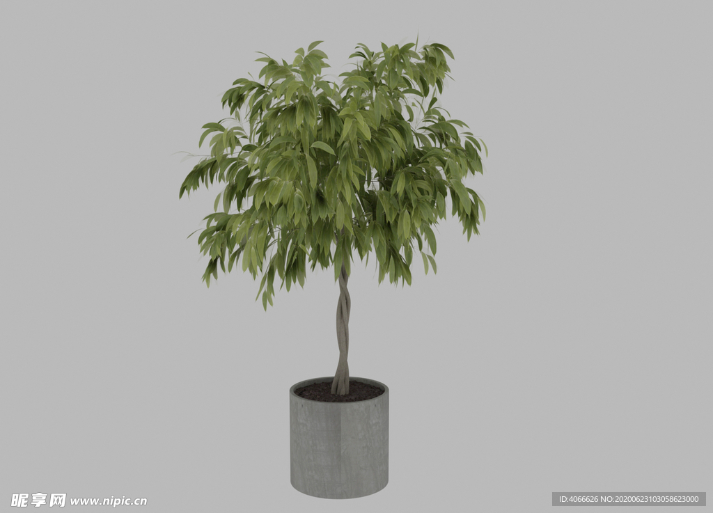 盆栽3d模型