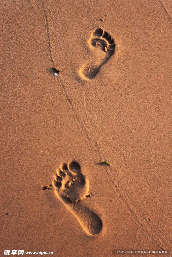脚印鞋印足迹痕迹图片