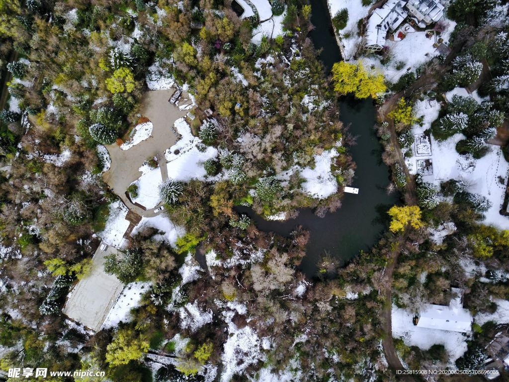 森林航拍树木俯瞰图片