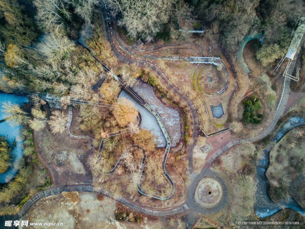 森林航拍树木俯瞰图片