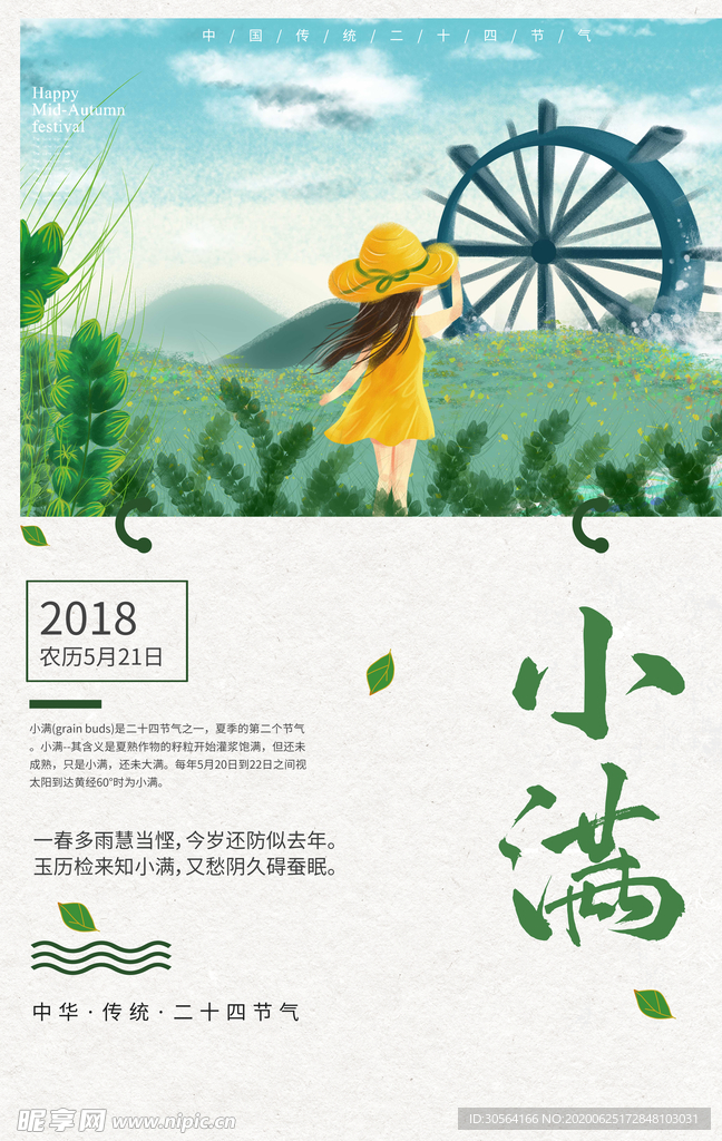 小满传统插画卡通节气清新海报