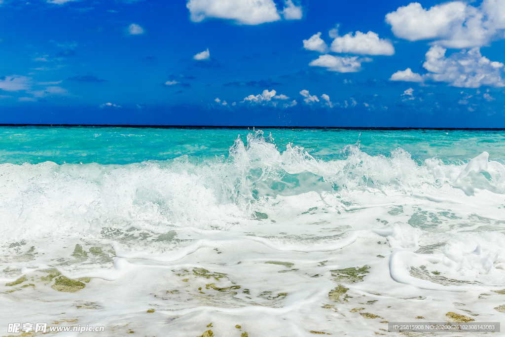 海滨海岸沙滩海滩图片