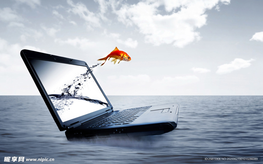 金鱼锦鲤水族观赏鱼图片