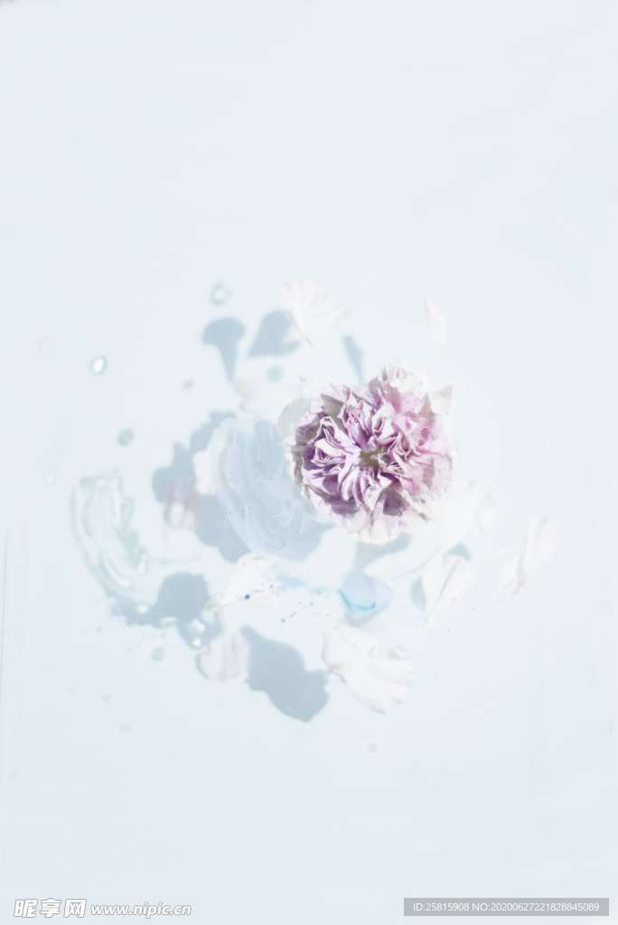 花卉艺术摄影图片