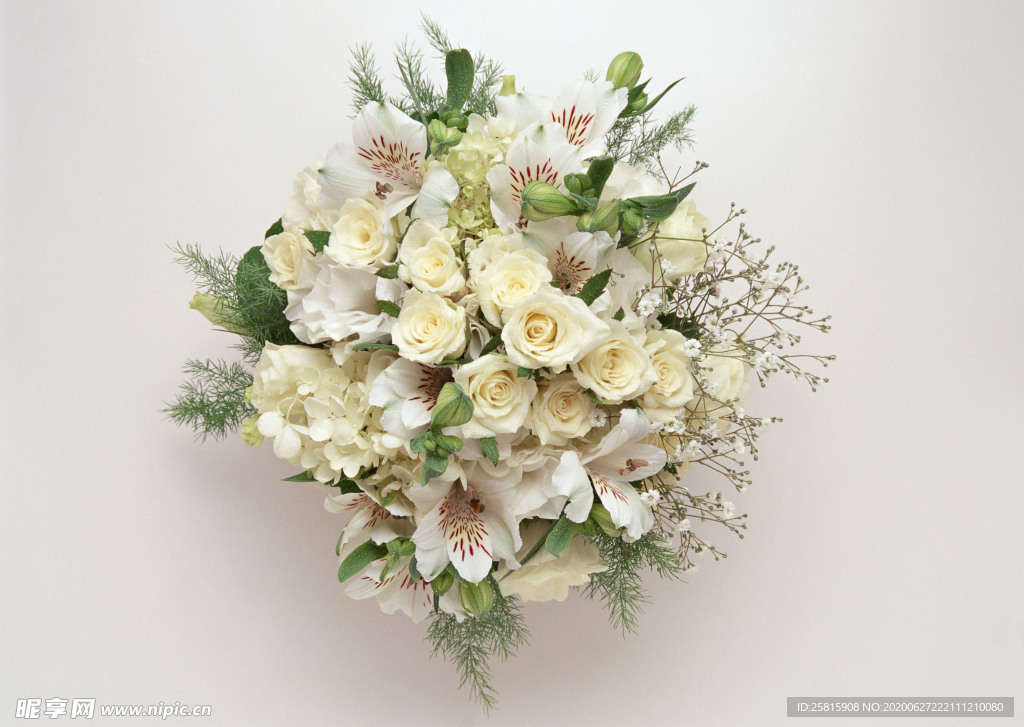 花卉艺术摄影图片