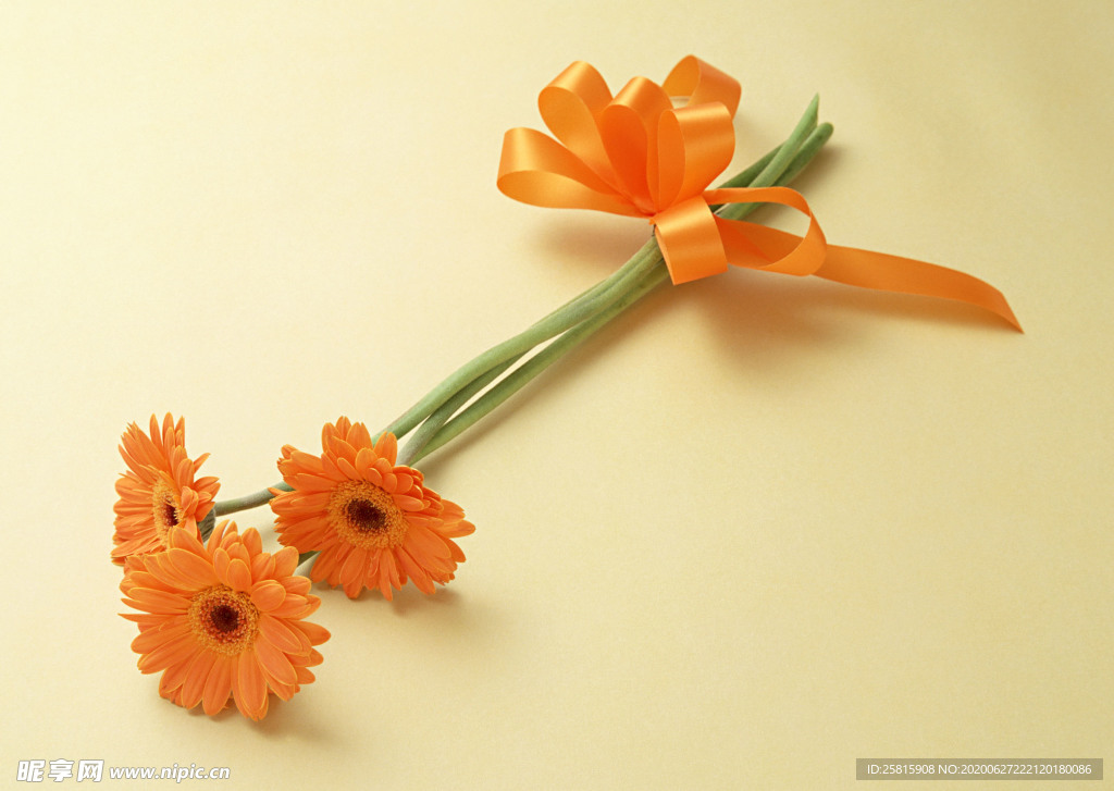 花卉艺术摄影图片