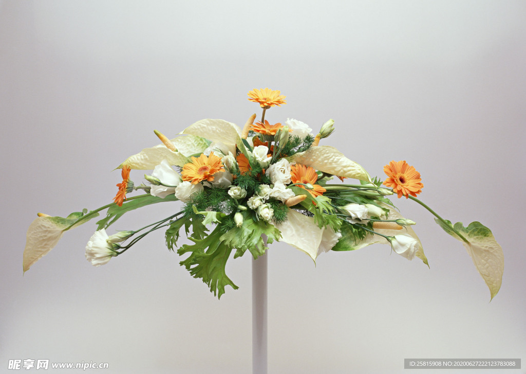 花卉艺术摄影图片